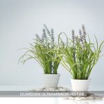 Guardian-Ultramirror-Clear