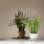 Guardian-Ultramirror-Euro-Bronze