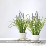 Guardian-Ultramirror-Super-Clear